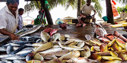 People’s Credit And Investment Bank - Loans for fishing industry 